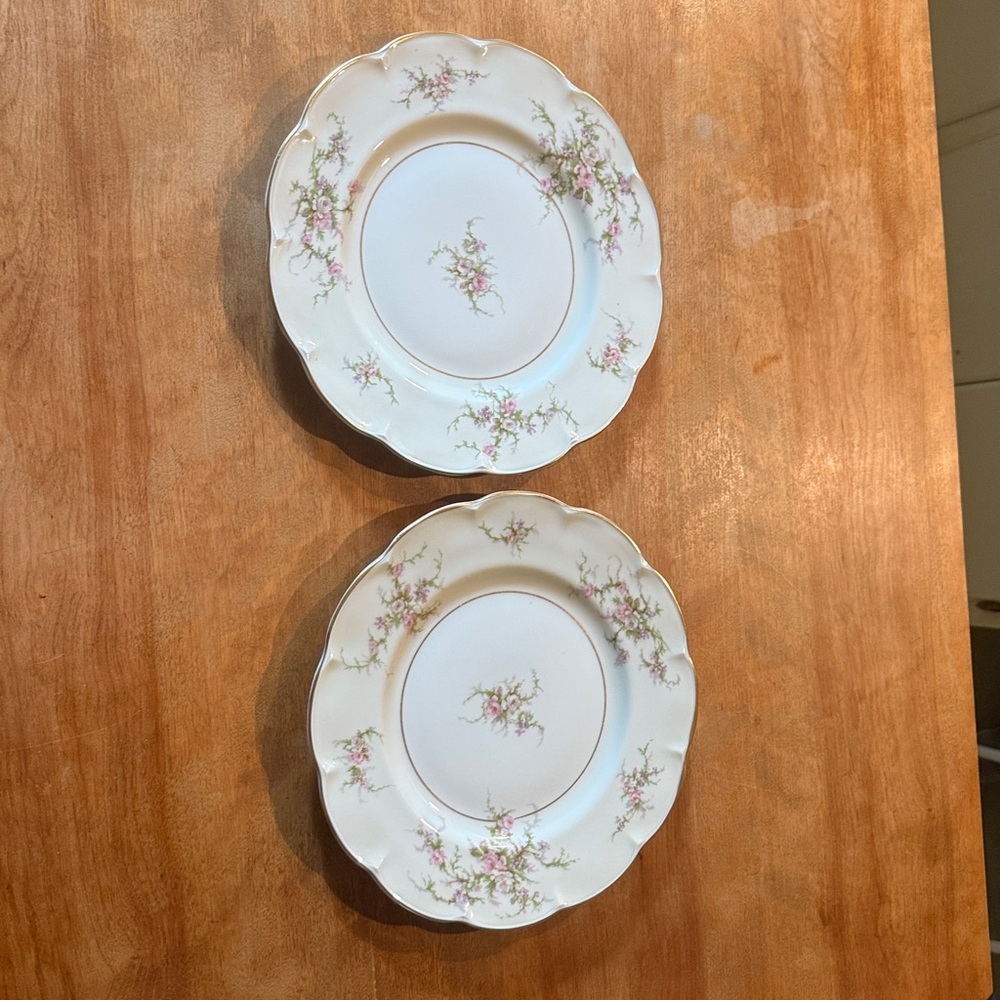 Haviland Floral Patterned Plates
